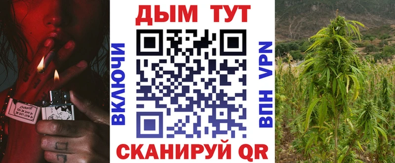 Купить где Красноармейск МАРИХУАНА SATIVA & INDICA